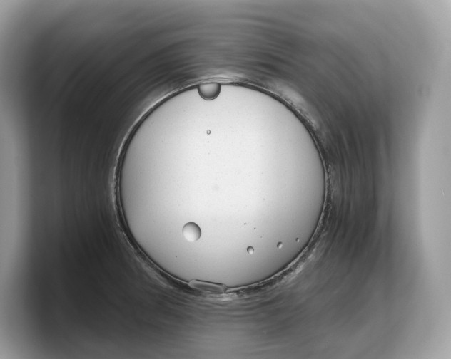 X0000103221186200809181457