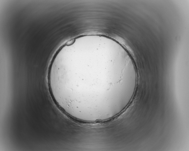 X0000103221189200809181457