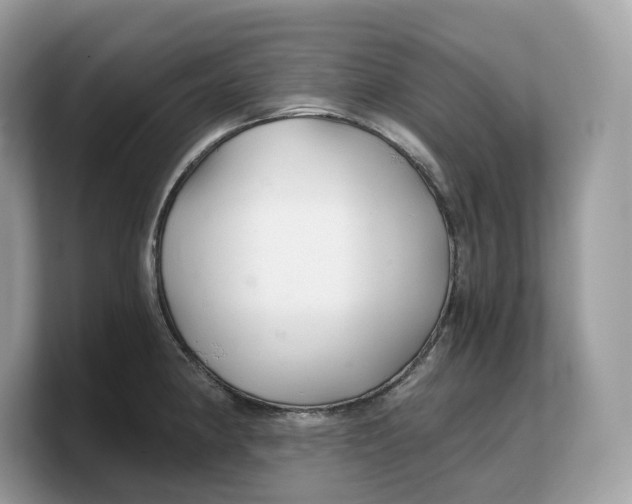 X0000103221190200809181457