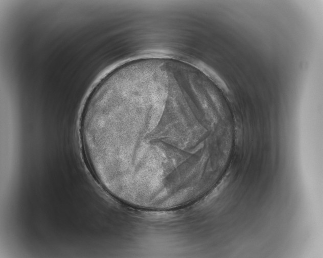 X0000103221192200809181457