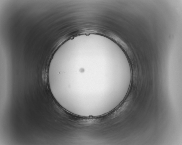 X0000103221193200809181457