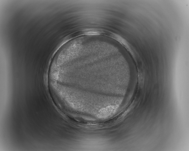 X0000103221194200809181457