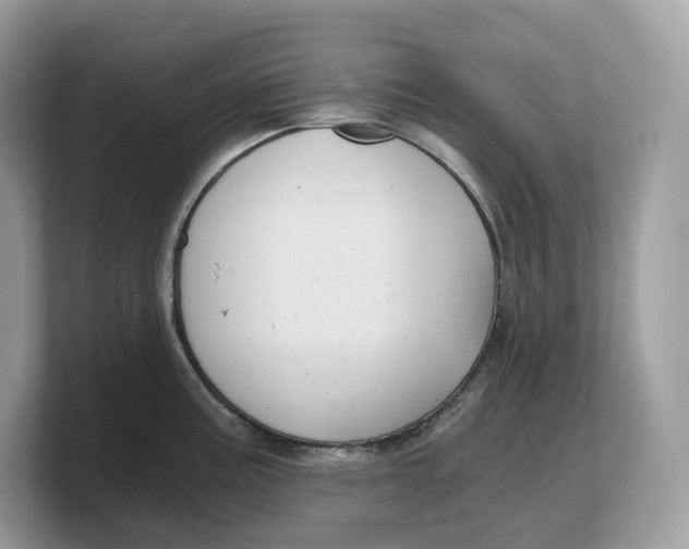 X0000103221195200809181457