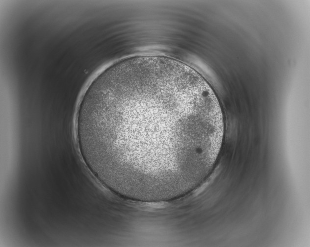 X0000103221196200809181457