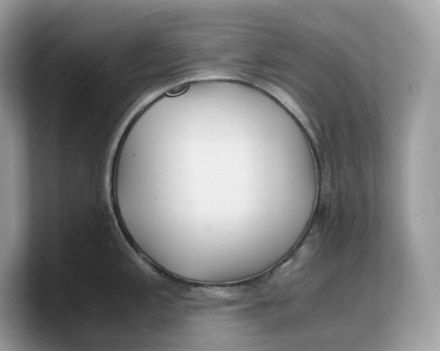 X0000103221197200809181457