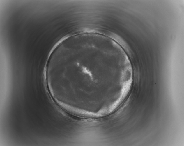 X0000103221198200809181457