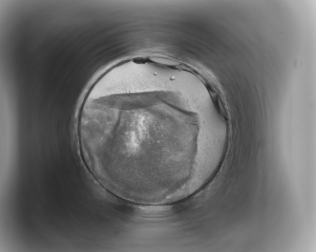 X0000103221200200809181457