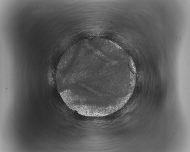 X0000103221202200809181457