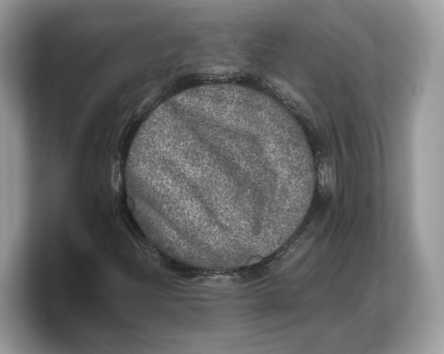 X0000103221204200809181457