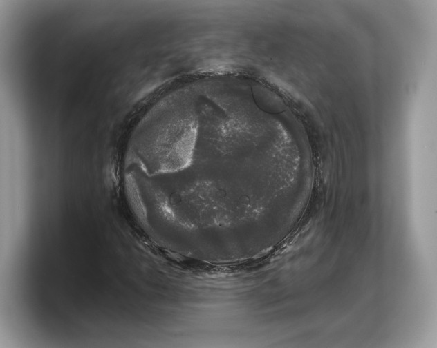 X0000103221206200809181457