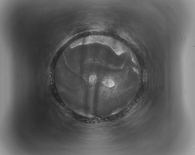 X0000103221208200809181457