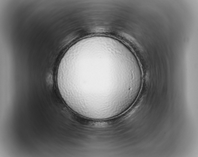 X0000103221209200809181457