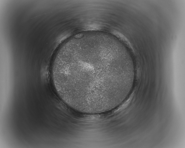 X0000103221210200809181457