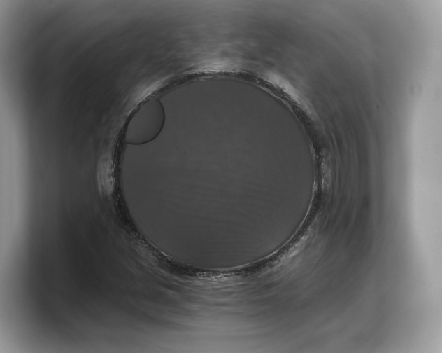 X0000103221213200809181457