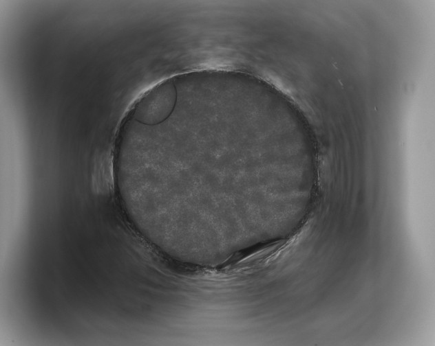 X0000103221214200809181457