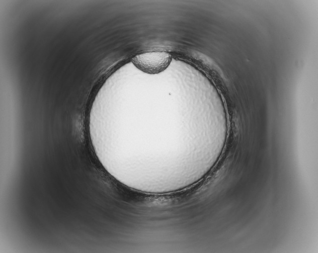 X0000103221217200809181457