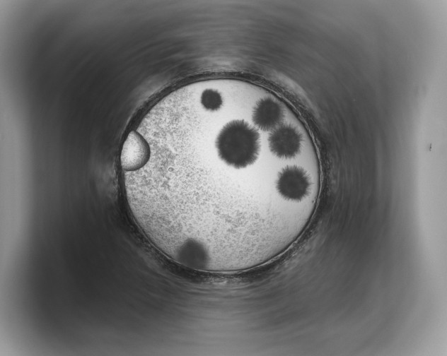 X0000103221218200809181457