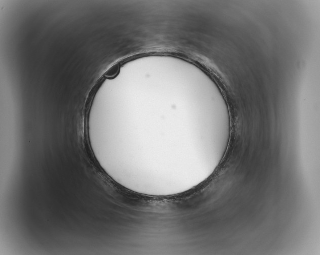 X0000103221220200809181457