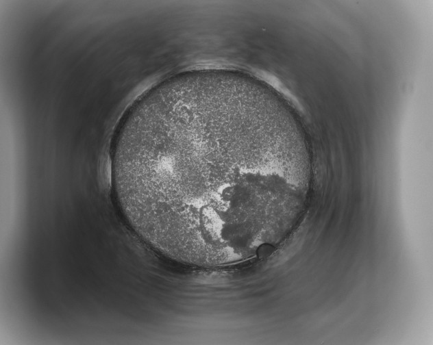 X0000103221221200809181457