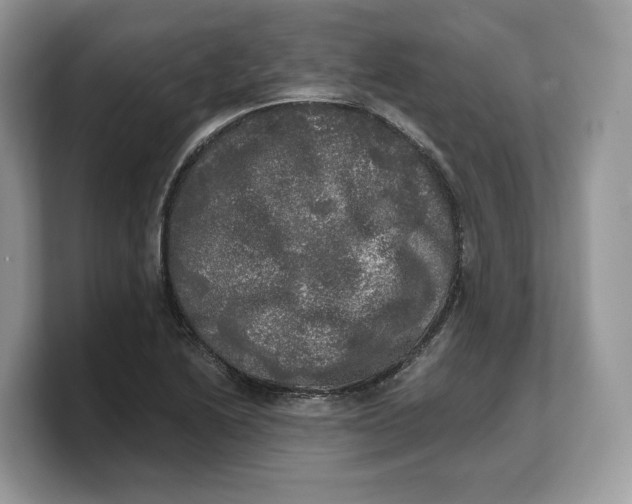 X0000103221222200809181457