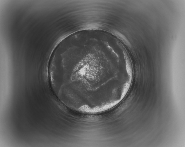 X0000103221226200809181457