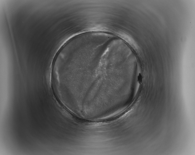 X0000103221228200809181457