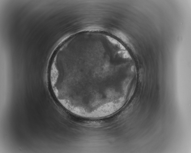 X0000103221229200809181457