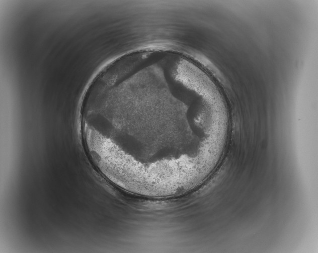 X0000103221232200809181457