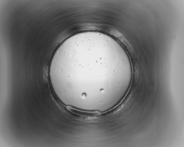 X0000103221233200809181457