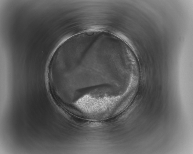 X0000103221235200809181457