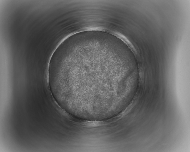 X0000103221236200809181457