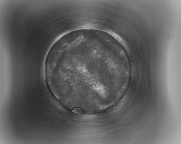 X0000103221238200809181457