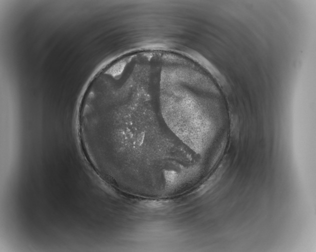 X0000103221240200809181457