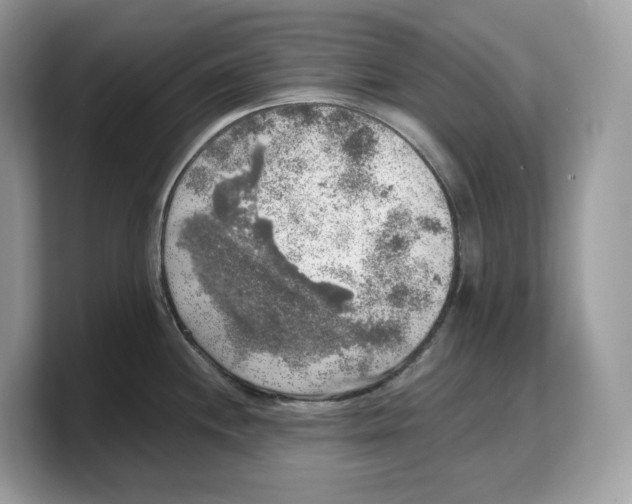 X0000103221244200809181457