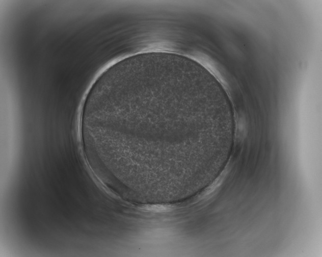 X0000103221246200809181457