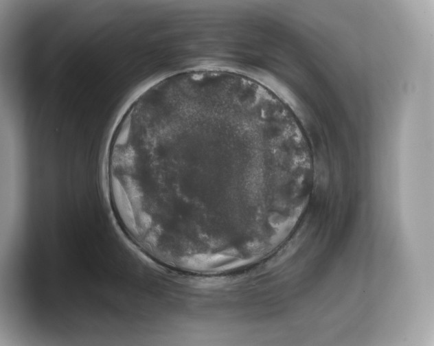 X0000103221247200809181457