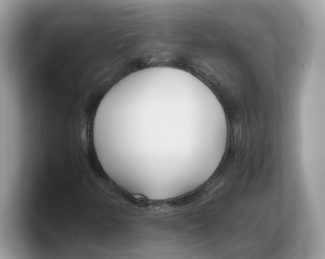 X0000103221250200809181457