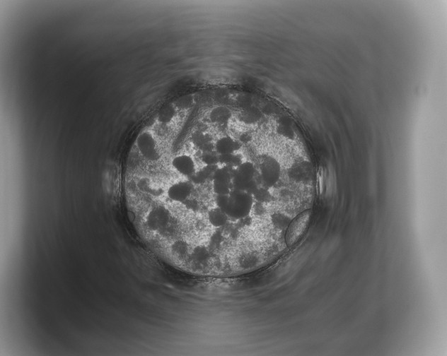 X0000103221251200809181457