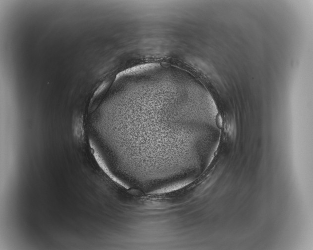 X0000103221252200809181457