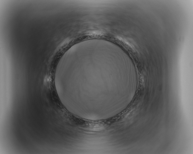 X0000103221254200809181456