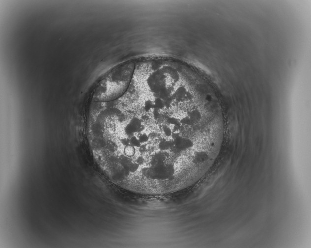 X0000103221255200809181456