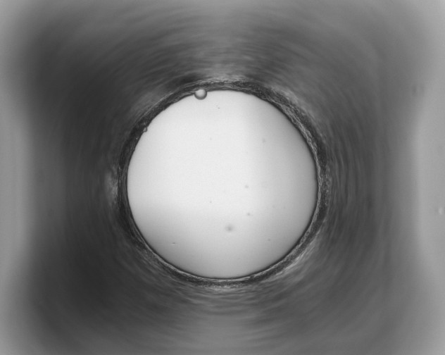 X0000103221257200809181456