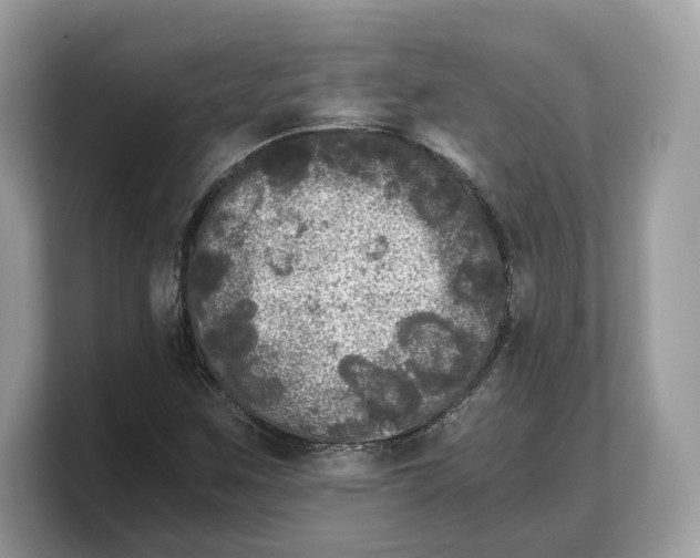 X0000103221259200809181456