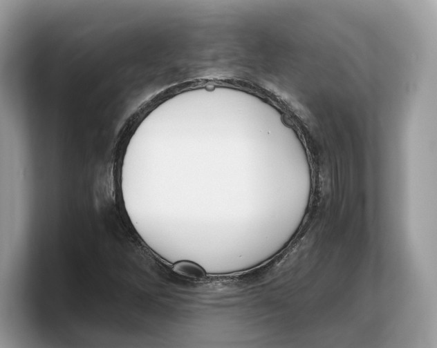 X0000103221262200809181456