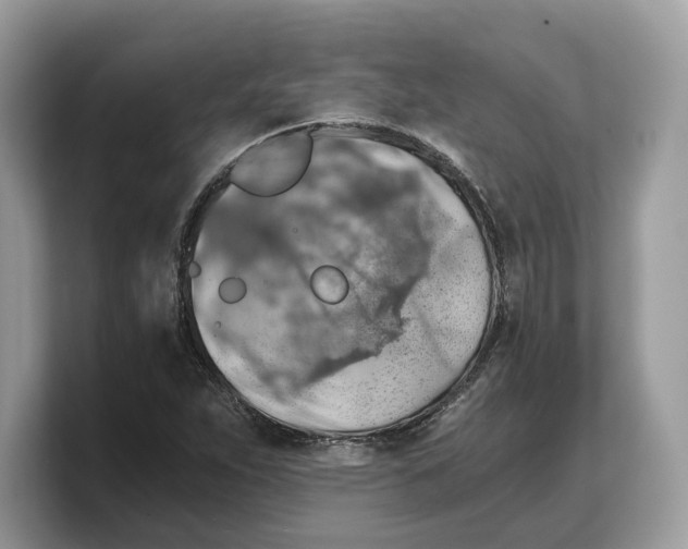 X0000103221263200809181456