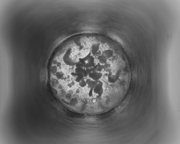 X0000103221267200809181456