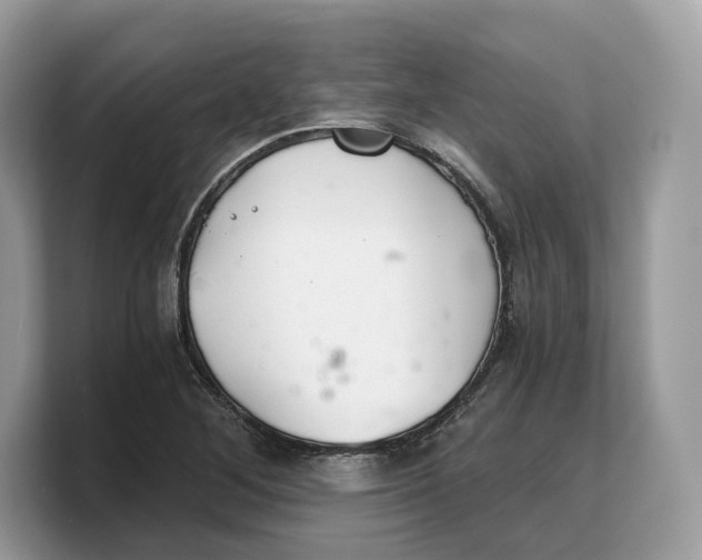 X0000103221268200809181456