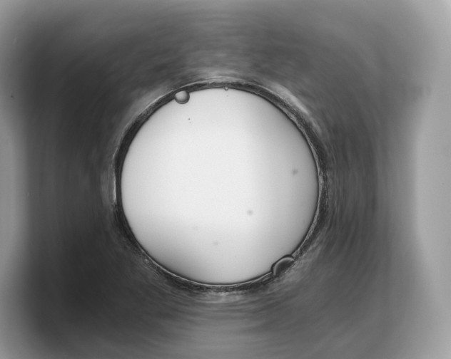 X0000103221269200809181456