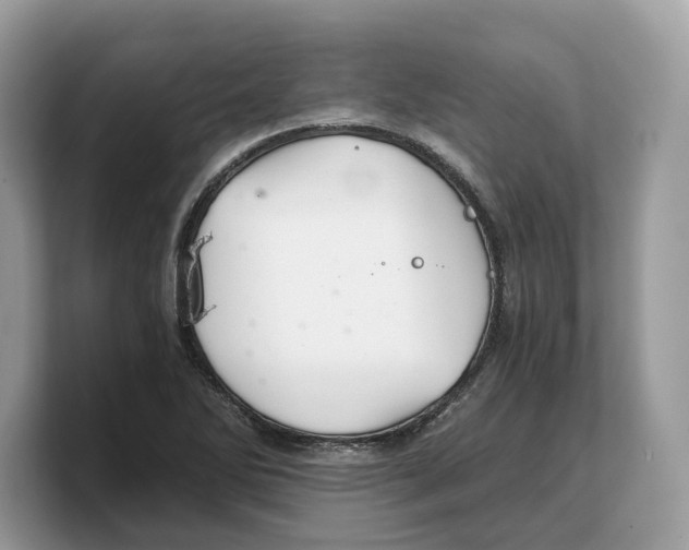 X0000103221270200809181456