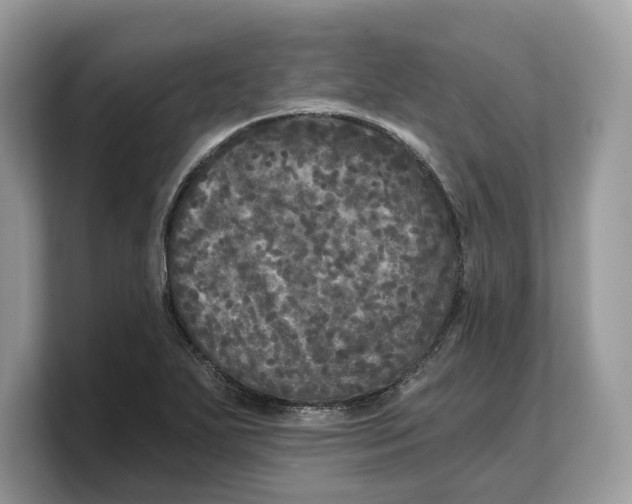 X0000103221271200809181456